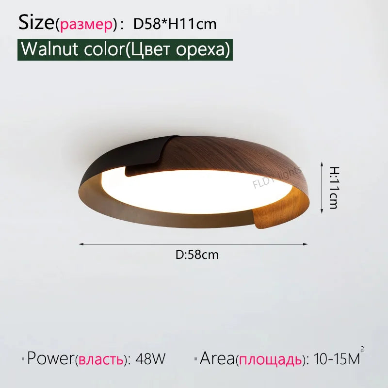 FLDY Nordic Ceiling Light Modern Iron Lamp For Living Room