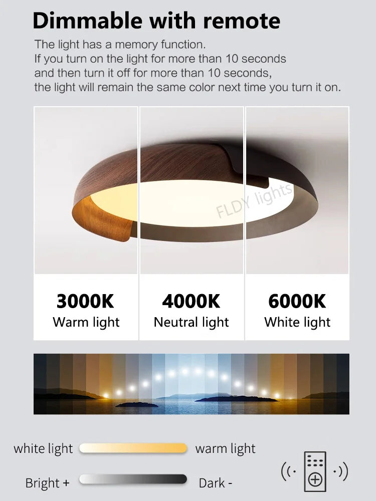 FLDY Nordic WabiSabi Wind Ceiling Light For Living Room