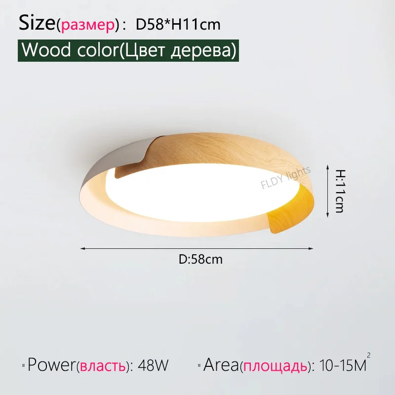 FLDY Nordic WabiSabi Wind Ceiling Light For Living Room