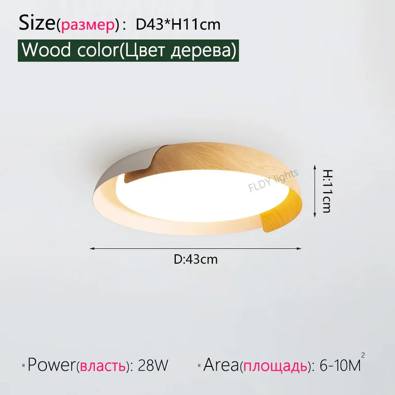 FLDY Nordic Ceiling Light Modern Iron Lamp For Living Room