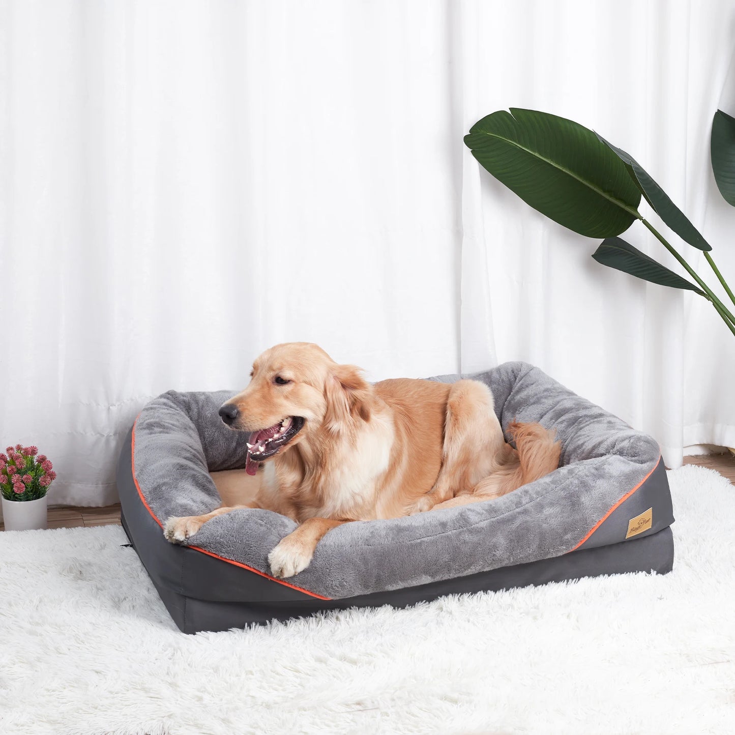 BINGOPAW Dog Bed With Removable Washable Cover And Anti Allergy