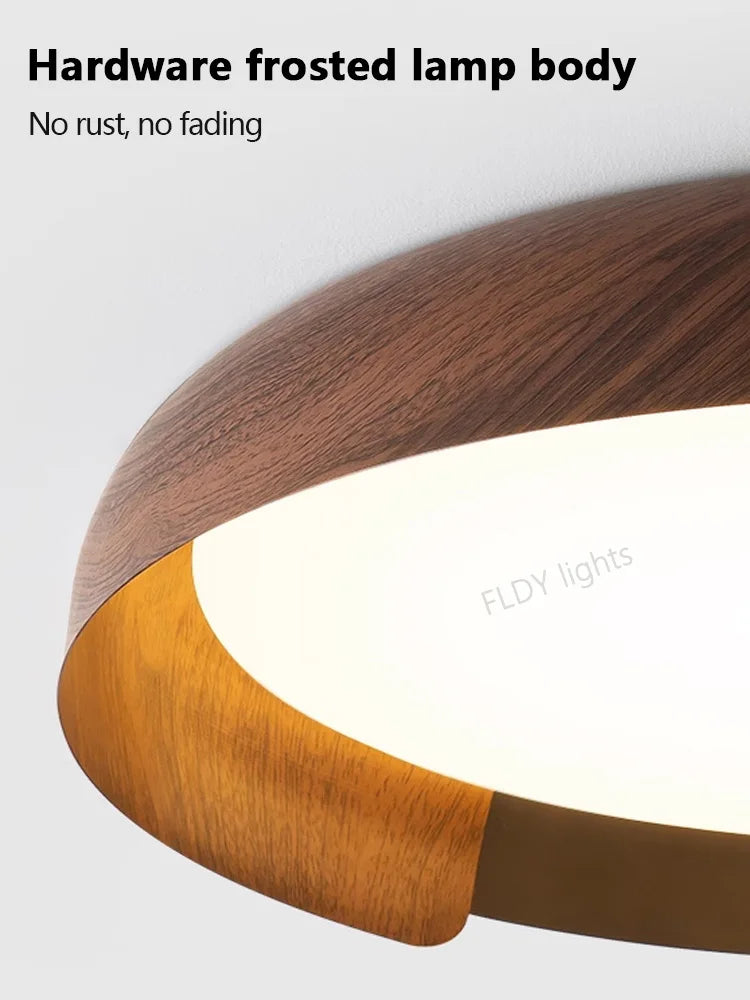 FLDY Nordic WabiSabi Wind Ceiling Light For Living Room