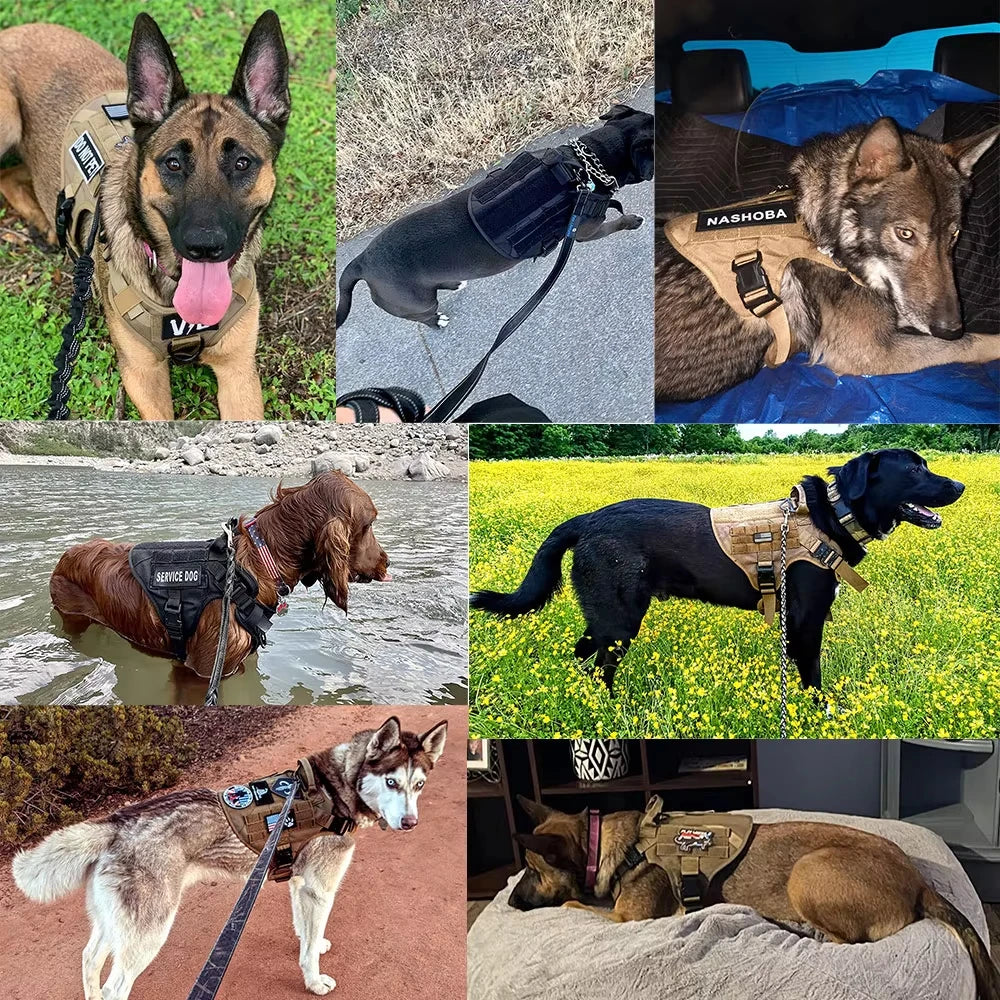 PETRAVEL Tactical Dog Harness Set With Collar Leash And Patches