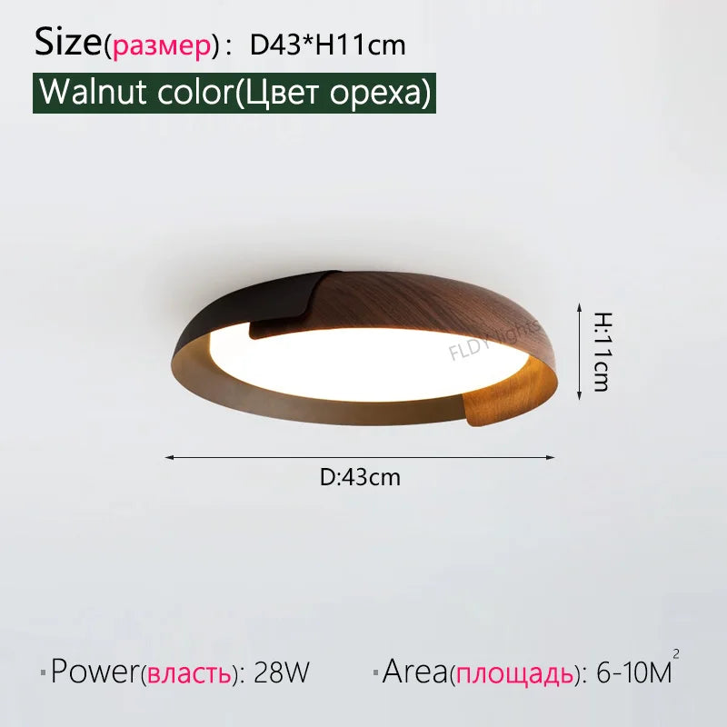 FLDY Nordic Ceiling Light Modern Iron Lamp For Living Room