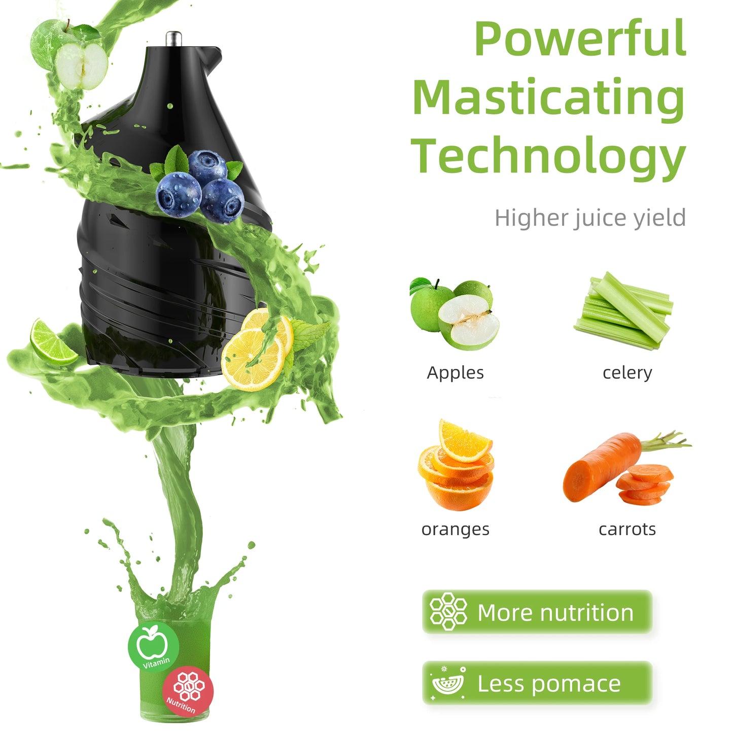 Biolomix Cold Press Juicer 200W Slow Masticating System
